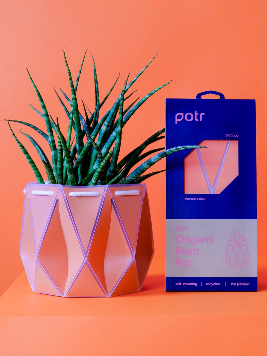 low poly plant pot Self-Watering POTR