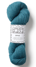 Load image into Gallery viewer, Opus Yarn | Walcot Yarns