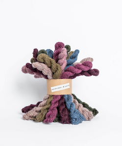 Woolstok Bundle Kit | Blue Sky Fibers