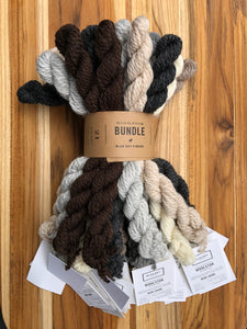 Woolstok Bundle Kit | Blue Sky Fibers