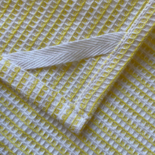 Load image into Gallery viewer, fort &amp; field | 100% cotton lime and check kitchen dishcloths - set of 2