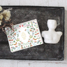 Load image into Gallery viewer, Butterfly Garden Baby Card | Seedlings