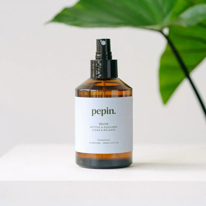Cleaning Brume | Pepin Plant