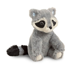 Load image into Gallery viewer, Plush Raccoon, Chasing Dreams | Compendium