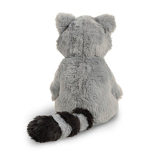 Load image into Gallery viewer, Plush Raccoon, Chasing Dreams | Compendium