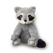 Load image into Gallery viewer, Plush Raccoon, Chasing Dreams | Compendium