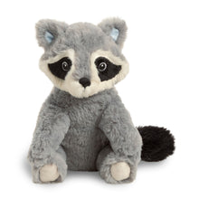Load image into Gallery viewer, Plush Raccoon, Chasing Dreams | Compendium