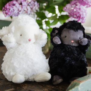 Wee Kiddo the Black Lamb | Bunnies By the Bay