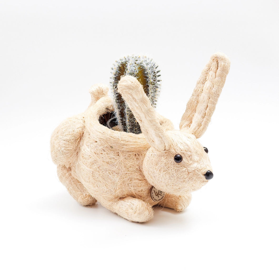 Animal Planters | Likha