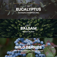 Load image into Gallery viewer, No. 04 Balsam Forever Candle | Sibling Co.