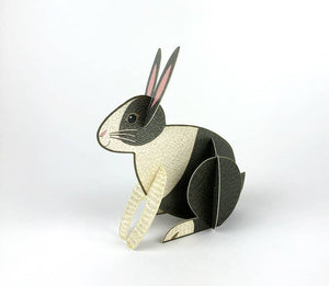 Pop-out Rabbit Card - Alice Melvin | Art Angels