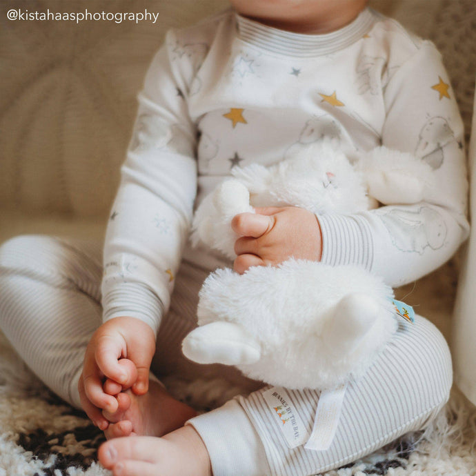 Bunnies By the Bay| Wee Ittybit Bunny