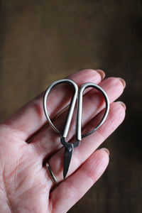 Mini Bonsai Snips | NNK Press