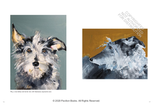 Old Dogs | Sally Muir