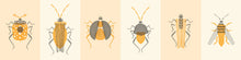 Load image into Gallery viewer, Stamp Bugs | Chronicle Books
