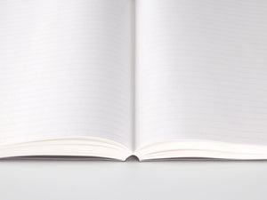 365 Days Lined A5 Notebook | Stalogy
