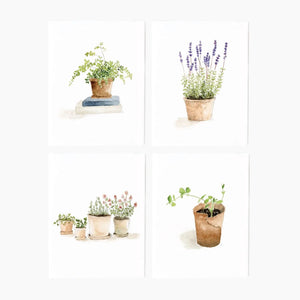 Notecards | Emily Lex Studio