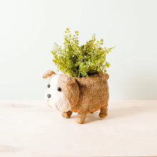 Load image into Gallery viewer, Animal Planters | Likha