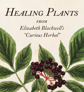 Healing Plants: From Elizabeth Blackwell's A Curious Herbal  | W.W. Norton & Company