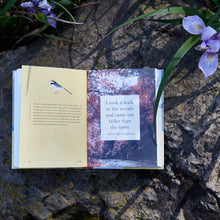 Load image into Gallery viewer, A Little Book of Japanese Contentments | Chronicle Books