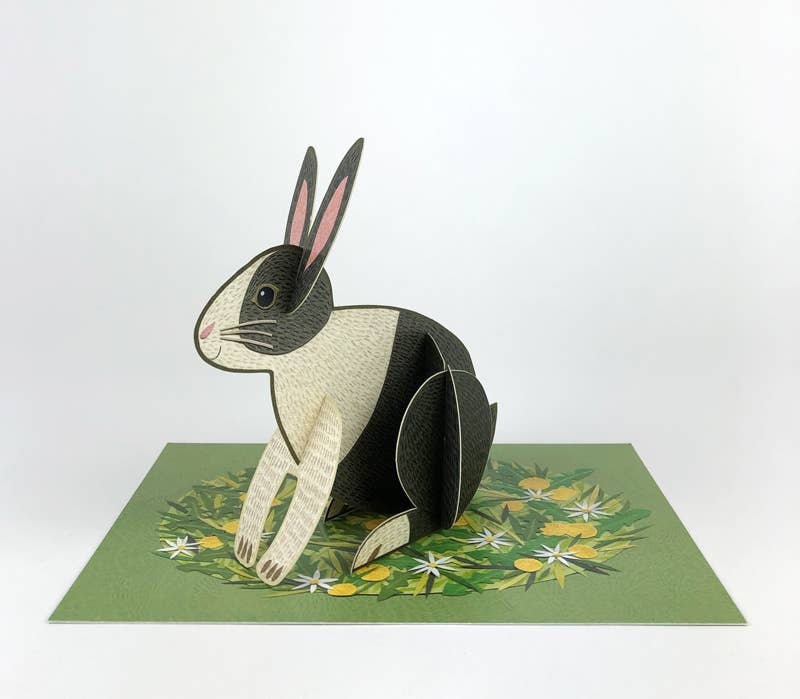 Pop-out Rabbit Card - Alice Melvin | Art Angels