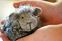Load image into Gallery viewer, Bear Creek Felting | Black Sheep Needle Felting Kit
