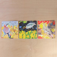 Load image into Gallery viewer, Bird Vignettes Postcard Wallet by Andrew Waddington | Art Angels
