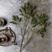 Load image into Gallery viewer, Artificial Mottled Sedge | Abigail Ahern