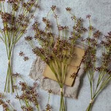 Load image into Gallery viewer, Artificial Succulent Bunch | Abigail Ahern