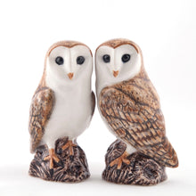 Load image into Gallery viewer, Salt &amp; Pepper Shakers | Quail Ceramics