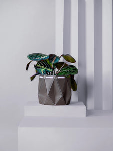 Self-Watering POTR | POTR