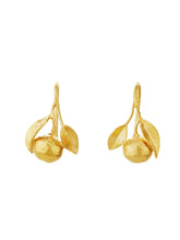Load image into Gallery viewer, Orange Hook Earrings | Alex Monroe
