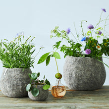 Load image into Gallery viewer, Flower Pot 16 | Aveva