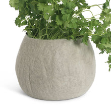 Load image into Gallery viewer, Flower Pot 16 | Aveva