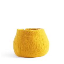 Load image into Gallery viewer, Flower Pot 16 | Aveva
