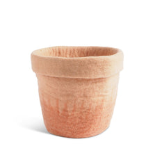 Load image into Gallery viewer, Flower Pot 20 | Aveva