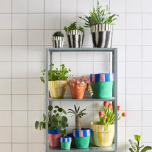 Load image into Gallery viewer, Flower Pot 20 | Aveva