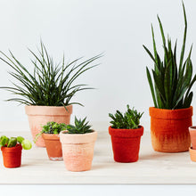 Load image into Gallery viewer, Flower Pot 20 | Aveva