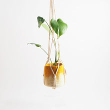 Load image into Gallery viewer, Flower Pot Hanger | Aveva
