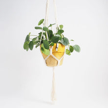 Load image into Gallery viewer, Flower Pot Hanger | Aveva