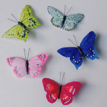 Load image into Gallery viewer, Assorted Feather Butterfly Clip on Decorations | Petra Boase