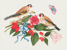 Load image into Gallery viewer, Flowers, Birds &amp; Butterflies Celebrations Boxed Notecards | Pomegranate