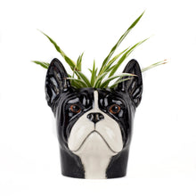 Load image into Gallery viewer, Pencil Pots | Quail Ceramics Ltd.