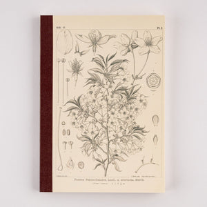 Tomitaro Makino Yamazakura Graph Notebook | Hobonichi