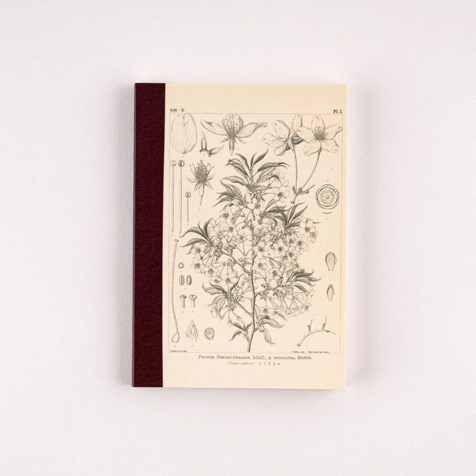 Tomitaro Makino Yamazakura Graph Notebook | Hobonichi