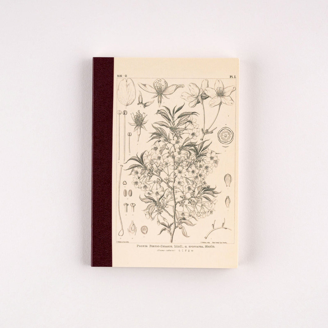 Tomitaro Makino Yamazakura Graph Notebook | Hobonichi