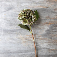 Load image into Gallery viewer, Artificial Hydrangea Chloris Stem | Abigail Ahern