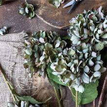 Load image into Gallery viewer, Artificial Hydrangea Chloris Stem | Abigail Ahern