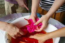 Load image into Gallery viewer, Benibana Thread Set - Colors of Japan | Nona