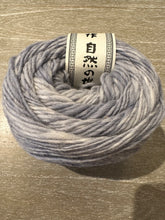 Load image into Gallery viewer, Malvinas Yarn | Noro